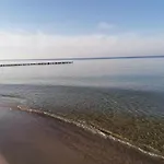 Apartament Alga Klifowa *