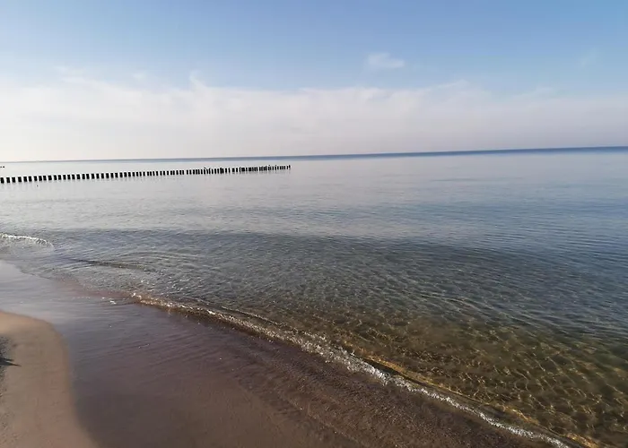 דירה Alga Klifowa *